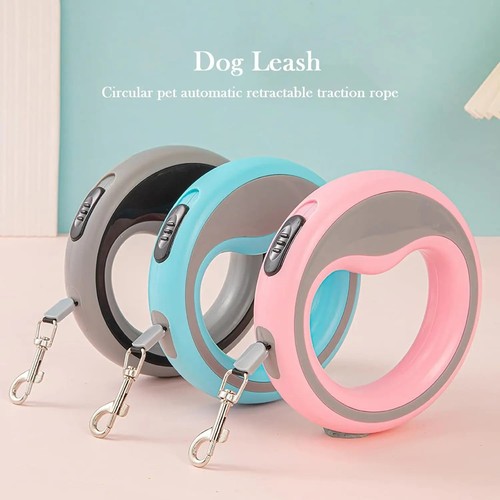 Retractable dog lead - dog,