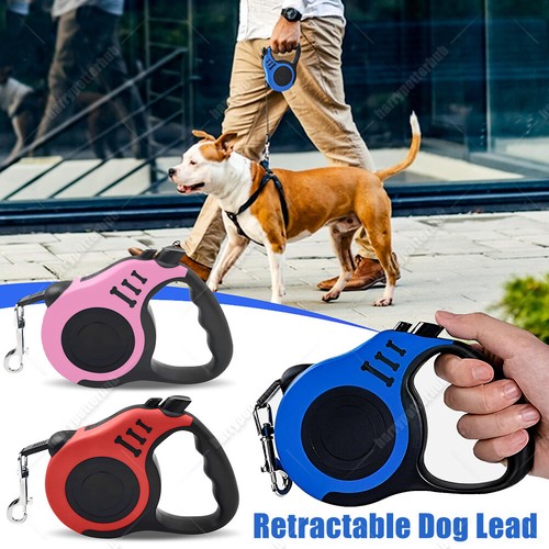 Heavy duty dog - duty,