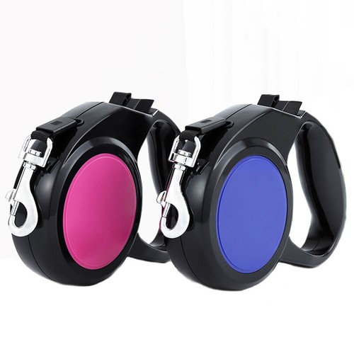 Dog retractable lead puppy - dog,