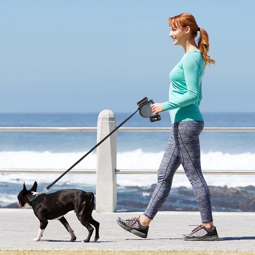 Heavy duty dog - duty, leash