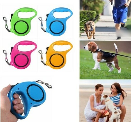 Retractable dog lead - dog, walk